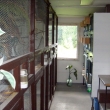 voli�ry  a chovn� klece